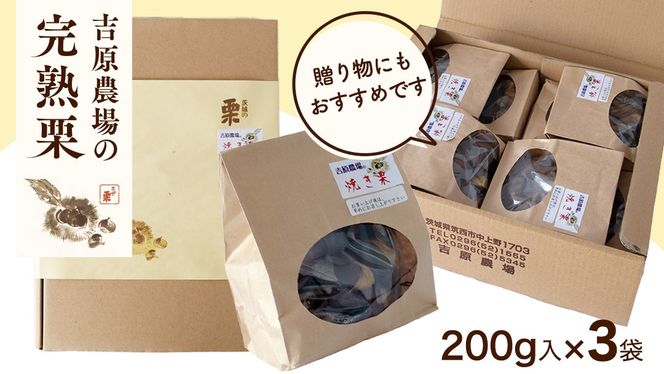  【 吉原農場 の 完熟栗 】 熟成 焼き栗 3袋 ( 200g × 3袋 ) R7年産 完熟 栗 くり クリ 栗ごはん 贈答 ギフト 果物 フルーツ 数量限定 旬 秋 冬 正月 おせち [CX020ci]