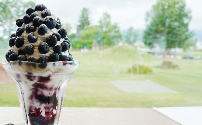 [先行受付] 北海道 仁木町産 有機栽培ブルーベリー 1.5kg（サイズ混合） 果物 くだもの フルーツ 果実 生ブルーベリー 国産 国産ブルーベリー 日本産 [しろうさファーム]