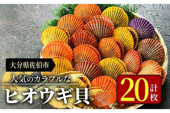 ヒオウギ貝 (20枚) 魚介 貝 ヒオウギ貝 ひおうぎ貝 酒蒸し 網焼き バター焼き バーベキュー 獲れたて 冷蔵 海の直売所 大分県 佐伯市【AS118】【海べ (株)】