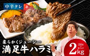 G3411 【満足牛ハラミ】中辛タレ漬け 合計2kg 【味付け ハラミ 小分け 焼くだけ 簡単調理 BBQ 牛肉 250g×8P】