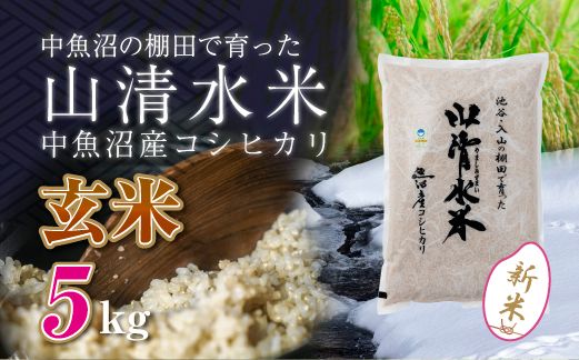 【令和8年産 新米】 新潟県魚沼産コシヒカリ「山清水米」玄米5kg