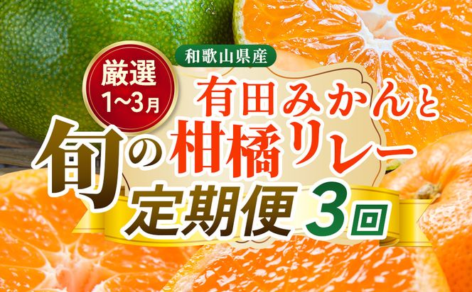 【定期便】厳選 柑橘定期便 S 3回（1～3月）※北海道・沖縄・離島への配送不可※1月・2月・3月に発送
