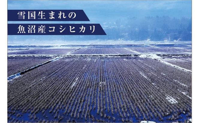 令和８年産米　先行予約【定期便／6ヶ月】魚沼産川西こしひかり5kg  ＜令和8年10月下旬～発送予定＞ 
