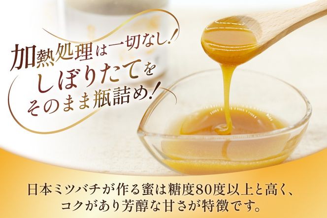 AJ444 はちみつ 国産 百花蜜 250g 2個 日本ミツバチ 純粋 100% [ 安中梅林を育てる会 蜂蜜 ハチミツ 非加熱 無添加 長崎県 島原市 ]