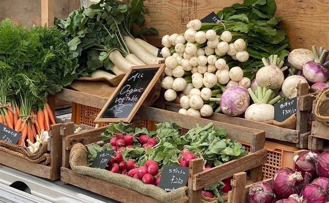 自然栽培 朝日米 2キロ＋ 旬 の 野菜 6～8品 (栽培期間中農薬不使用) 詰め合わせ 田畑のごちそう便 [№5735-1938]