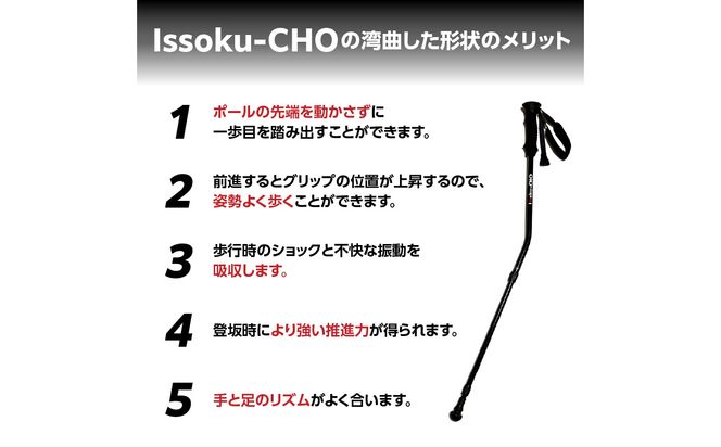 【R17032】ウォーキングポール Issoku-CHO（1足長） オールブラック 1本