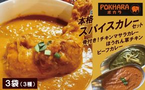 【レンジで簡単】本格スパイスカレー3種３袋セット 本格スパイスカレー 食べ比べ おやつ H177-023