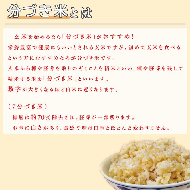 ★真空包装★R7年産こしひかり 8kg(2kg×4袋)【7分づき】｜米 こめ お米 コシヒカリ こしひかり 真空 真空包装 7分づき 人気 個包装 茨城県 行方市 送料無料(CZ-9-2)