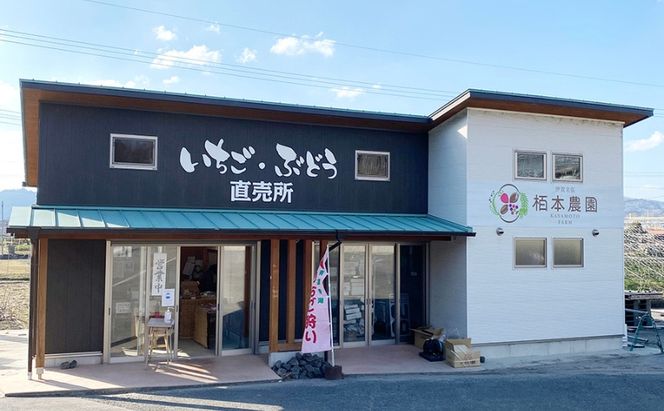 【青蓮寺産苺使用】冬季限定・採れたて苺の「桜いちご大福」（10個入） いちご大福 冬季限定 採れたて 苺 イチゴ いちご 桜餡 桜 さくら 桜の香り 甘酸っぱい 青蓮寺 三重県 名張市