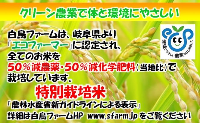 定期便 6カ月【 令和8年産 】毎月  白米 5kg【 ハツシモ 】