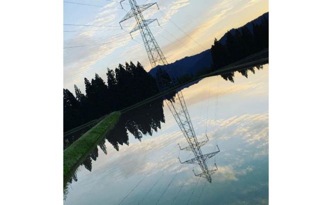 【令和7年産】 魚沼産 新之助 精米 5kg