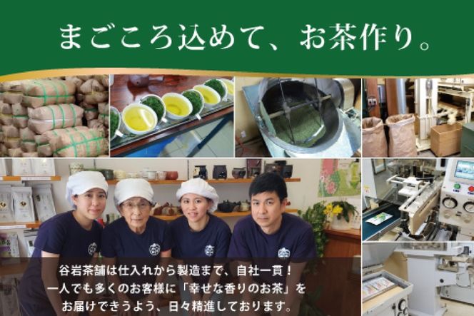 お茶 プレミアム ティーバッグ 露ぶせ 3g 12個 3袋 セット [谷岩茶舗 宮崎県 日向市 452061619] ティーパック 茶 緑茶 日本茶