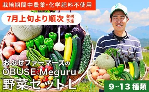 ［栽培期間中農薬・化学肥料不使用］OBUSE Meguru 野菜セット L 9～13種類 ［おぶせファーマーズ］野菜 詰め合わせ おまかせ やさい 詰合せ お楽しみ 長野県産 信州 令和7年産 【2025年7月上旬より順次発送】 ［FY-3］