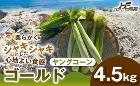 ［食卓を彩る希少な季節野菜］潮風ベイビー 4.5kg ヤングコーン ゴールド ベビーコーン グリル 付け合わせ野菜 BBQ 焼き野菜 和歌山県 白浜町 304018_ET11