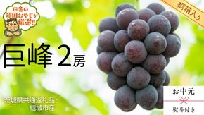 【 お中元 熨斗 付 】【 桐箱入り 】 巨峰2房  【2025年8月より発送開始】（茨城県共通返礼品 [ぶどう]：結城市産） 巨峰 ぶどう 果物 フルーツ 季節 旬 [BI405-NT]