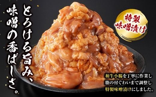 トロホルモン 味噌漬け 1.2kg ( 300g × 4 ) プリプリ 小分け 使いやすい 味付き 調理便利 野菜炒め ホルモン炒め 訳あり 不揃い 和牛 小腸 冷凍 配送時期が選べる 個包装 冷凍保存 アウトドア キャンプ おすすめ 人気