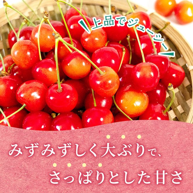 2027年発送 さくらんぼ 佐藤錦 600g (300g×2P) Lサイズ 北海道 仁木町　国産 旬のフルーツ 旬の果物 デザートサクランボ チェリー フルーツ 果物 果物類 仁木 [カムナビファーム]