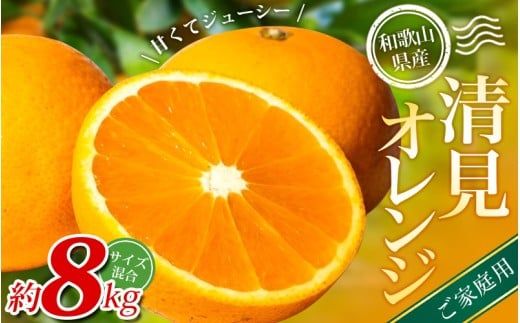 ya̎RI쒬zyƒpzI IW 8kg a̎RY 2S~2LTCY2026N2{`5{ɏymrmt048z