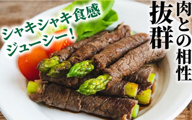 【3回定期便】【2027年6月初回発送】【星のアスパラ】夏のグリーンアスパラガス 約1kg / アスパラ 野菜 / 南島原市 / ほしのYA[SEY014]