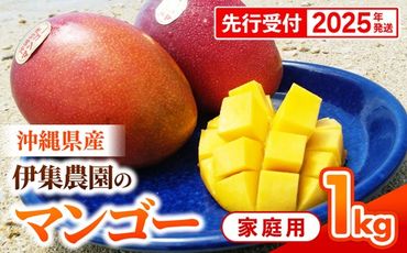 【先行受付】【2025年発送】伊集農園 沖縄県産マンゴー ご家庭用 約1kg