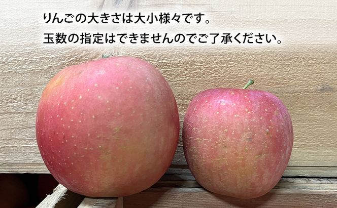 【平均糖度12度以上】10月発送 家庭用 訳あり 早生ふじ 約 3kg りんご リンゴ 林檎 果物 フルーツ わけあり 青森