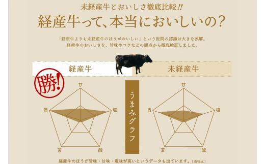 【最大４ヶ月待ち】但馬牛経産「牛すじ肉」１kg 008AA02N.／牛筋 牛肉 肉 お肉 精肉 すじ肉 スジ 国産牛 黒毛和牛 和牛 国産  冷凍 おつまみ つまみ 料理 アレンジ カレー おでん 牛すじ煮込み 煮込み料理 牛すじカレー グルメ おすすめ 人気 