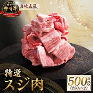 産地直送・宮崎牛特選スジ肉 500g（黒毛和牛 牛肉 和牛 スジ 牛すじ 牛スジ カレー 煮物 ）