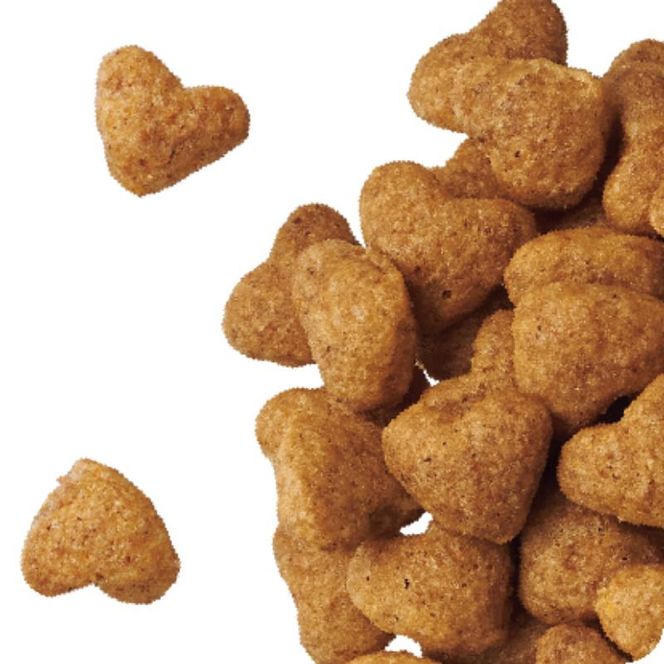 ビューティープロ ドッグ 10歳以上 200g ケース販売 ペットフード 犬 愛犬 ペット ペット用品 犬用 愛犬用 ごはん 静岡 袋井市