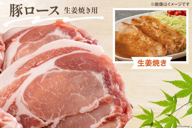 豚肉 小分け 切り落とし ロース 豚バラ スライス お料理セット 計5.4kg [甲斐精肉店 宮崎県 美郷町 31as0046] 肉 冷凍 宮崎県産 豚 ウデ 腕 切落し 詰め合わせ 真空包装 うす切り 薄切り
