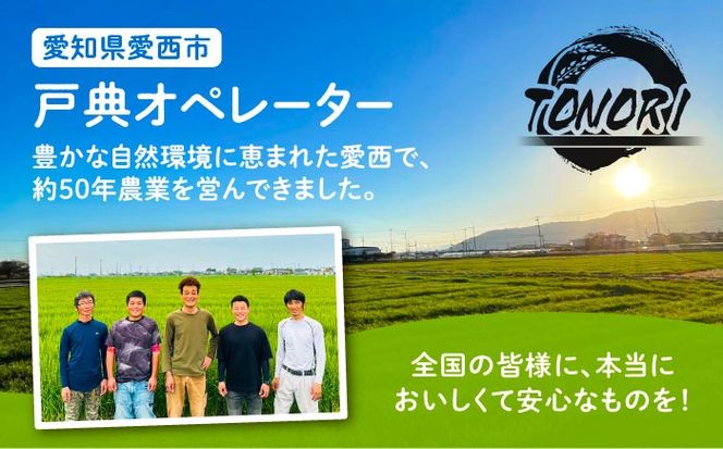 ＼2月発送分／ 米粉 パスタ 玄米 140g×5袋 グルテンフリー／TONORI[AECT030-2]