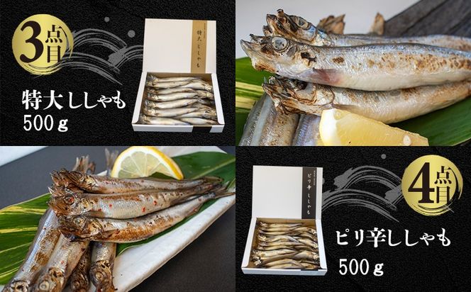 国内加工 水産物詰め合わせ 4点セット（切れてる鯖・切れてる赤魚・特大ししゃも・ピリ辛ししゃも）-[G392]