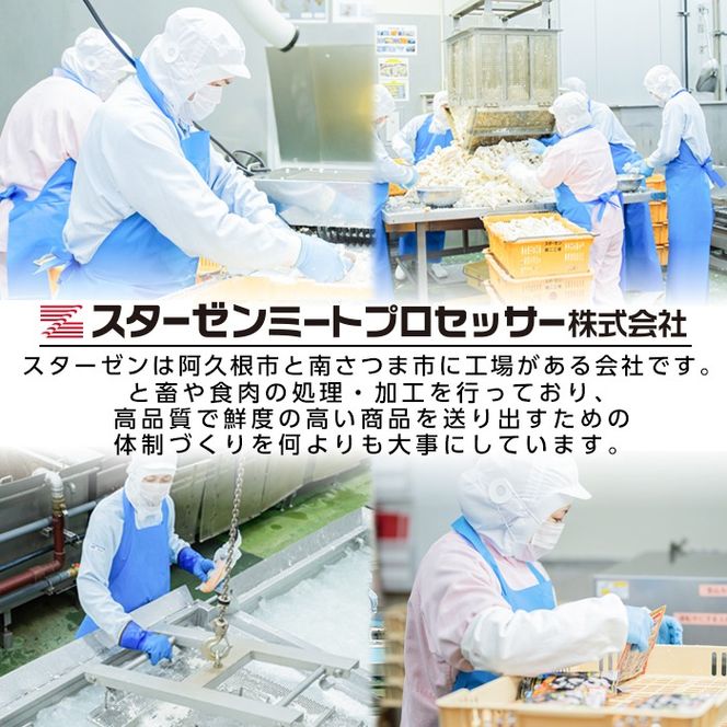 国産豚小腸使用！豚もつ煮込み(計4kg・400g×10袋) 大容量 国産 豚肉 モツ ホルモン おかず 簡単調理 煮込み料理 湯煎 レンジ パック【スターゼン】akn031-05