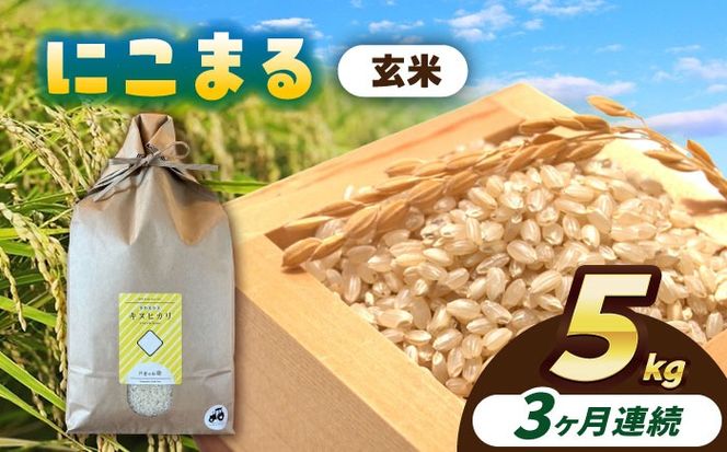 【3回定期便】にこまる　玄米　5kg　お米　ご飯　愛西市／株式会社戸倉トラクター[AECS067]