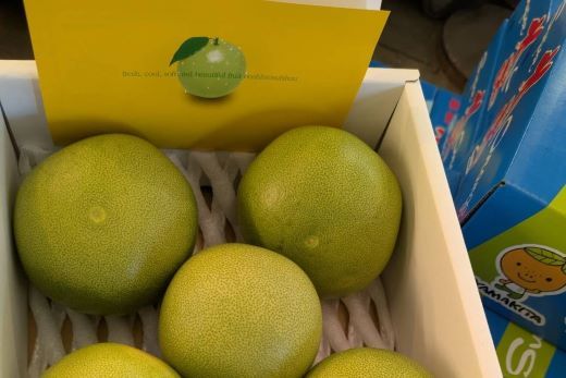 文旦 【贈答用】水晶文旦 3.0kg(約5玉～7玉) sq-0016