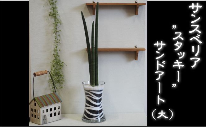 スタッキーのカラーサンド（大）黒 植物 インテリア 飾り 緑 グリーン 部屋 玄関 グリーンインテリア アート感覚 寄せ植え ガラス花器 