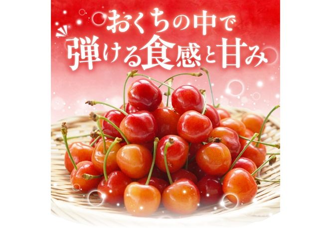 【2026年発送】【数量限定】【期間限定】山梨県産 紅秀峰 さくらんぼ （選べる容量 500g / 1kg ） バラ詰め サクランボ 大粒 山梨県産 フルーツ 果物 産地直送 山梨 富士吉田