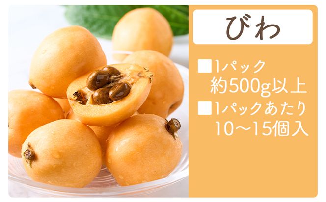 びわ 1パック 約500ｇ以上 10～15個入 - ビワ 香南市産 フルーツ 果物 果実 青果 ビワ 枇杷 山の幸 山の恵み 甘い 500g  やすらぎ市 高知県 香南市 yr-0114