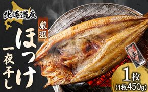 北海道産 ほっけ一夜干し（450～499g）×1枚 ｜ 釧路町の匠が贈る 北の至宝 ホッケ 干物 焼魚 焼き魚 白身魚 セット ひもの 魚干物 一人暮らし セット おかず 冷凍 スピード発送 すぐ届く 魚介類 海鮮 絶品 人気 ヒロセ すぐ発送 10000円の品 北海道 釧路町 釧路超 特産品