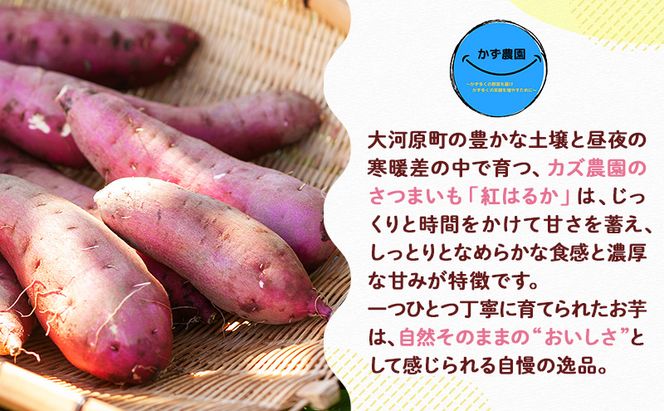大河原産 紅はるかペースト（離乳食）３個
