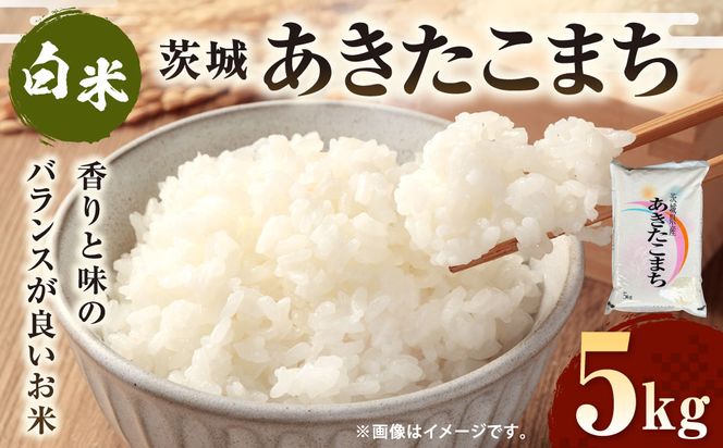令和7年産 茨城あきたこまち 5kg 1袋 あきたこまち 白米 精米 ごはん お米 国産 茨城県産 守谷市 送料無料