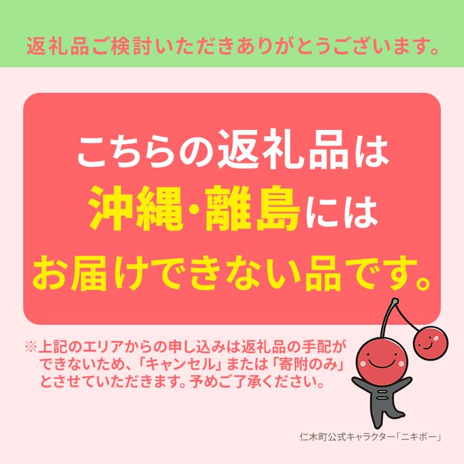 2027年発送 北海道 仁木町産 さくらんぼ 南陽 600g(300g×2パック)　Lサイズ以上 旬 桜桃 産地直送 サクランボ チェリー フルーツ 果物 果物類  仁木町 仁木 [松山商店]