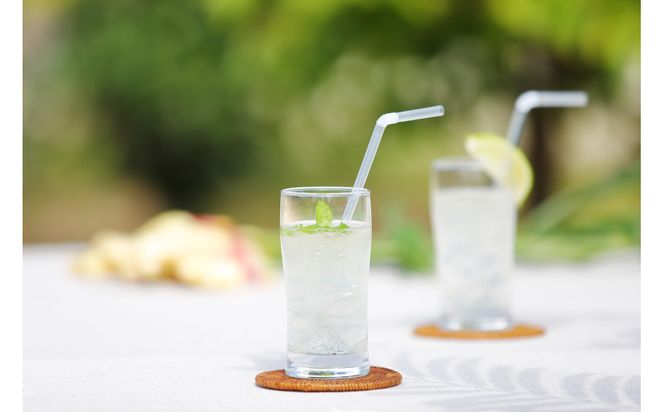 出雲生姜じんじゃエール１０本セット 322032_FW001