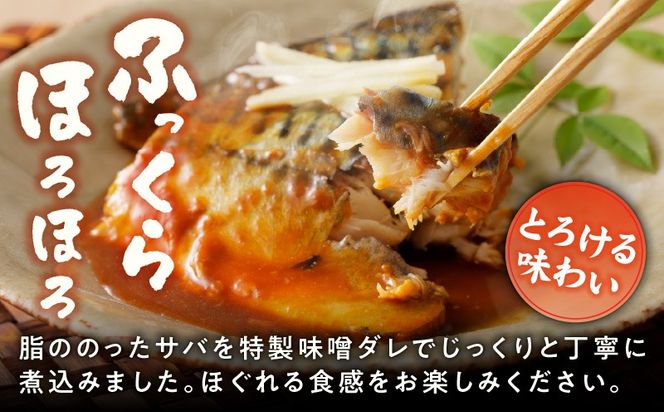 G5889 【先行予約】サバの味噌煮 10食 合計800g【2027年1月以降発送 鯖 さば サバ 味噌 煮物 惣菜 おかず 切り身 簡単調理 時短】