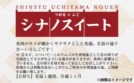 甘～いりんご『シナノスイート』約5kg (約12～16玉)《信州うちやま農園》■2025年発送■※10月上旬頃～10月下旬頃まで順次発送予定 