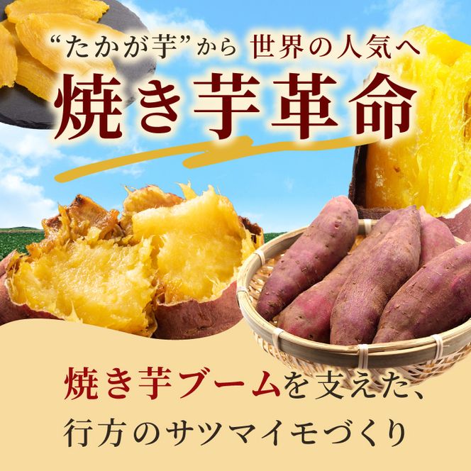 【新プロジェクトX放送～行方かんしょ～】 「紅優甘」堪能セット（冷凍焼き芋8本・平干し芋300ｇ×2袋セット）|茨城県 行方市 ふるさと納税 冷凍焼き芋 やきいも 平干し芋 ほしいも 紅優甘（AE-155）