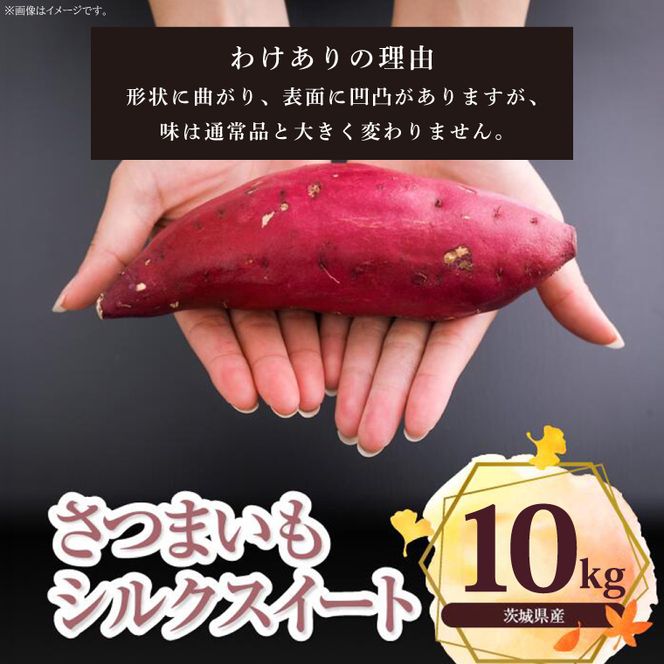 【先行予約】【2026年11月より順次発送開始】【訳あり】さつまいも　シルクスイート 約10kg｜さつまいも 芋 お芋 わけあり 訳あり シルクスイート タネのハシモト 茨城県 行方市(BS-22)