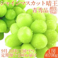 2026年 先行予約【2回定期便】 シャインマスカット 晴王1房 約700g 9月10月に1回づつ出荷/ 岡山県産 種無し 皮ごと食べる みずみずしい フレッシュ 晴れの国 おかやま 果物大国 彩美菜果