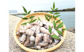 B2-28 修福丸ん岬だこ ブツ切り 500g 肉厚