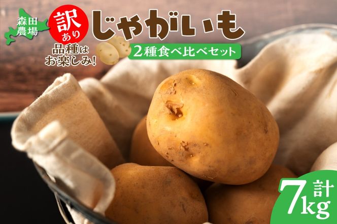 ykCzyʌz2i킨͂IkCY 󂠂肶Ⴊ7kg_S001-0010