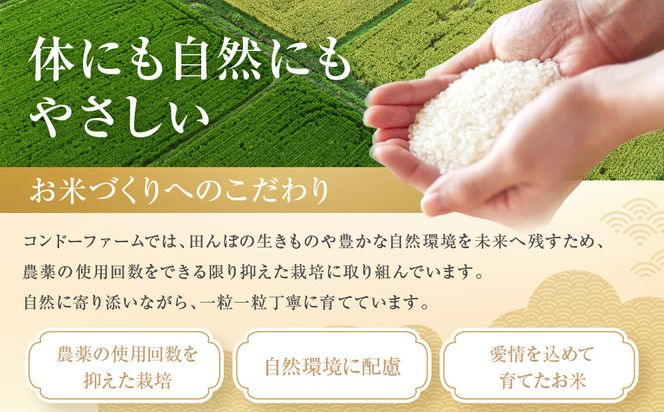 ミルキークイーン　5kg 232238_DV002